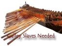 galley_slaves_needed_.jpg