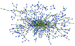 Social network of federal judges based on their clerks