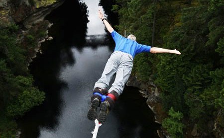 bungy1.jpg