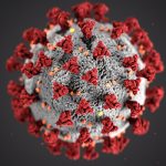 Covid19 virus microscope picture
